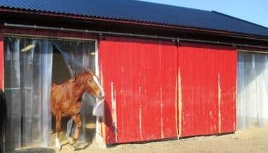 hest gjennom plaststrimler