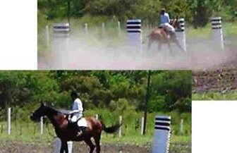 For og etter behandlet ridebunn
