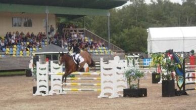 Falsterbo_horse_show_2012_i_gang